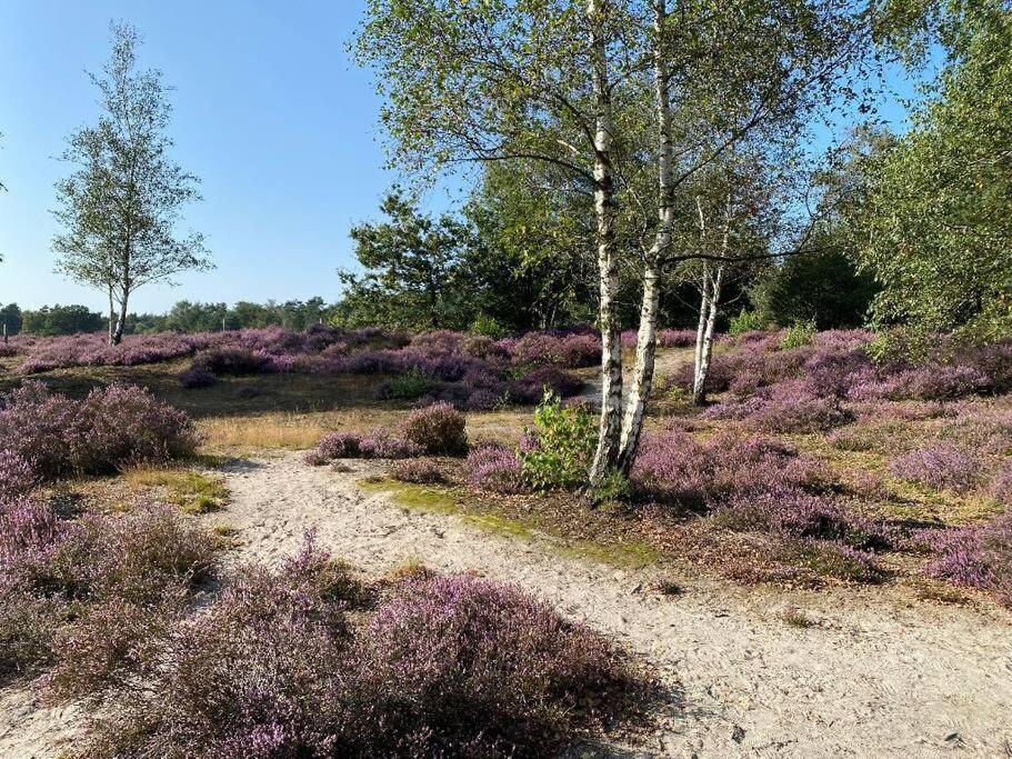 Duinhoek: Luxe Studio, Prachtig En Rustig Gelegen Zeist Luaran gambar